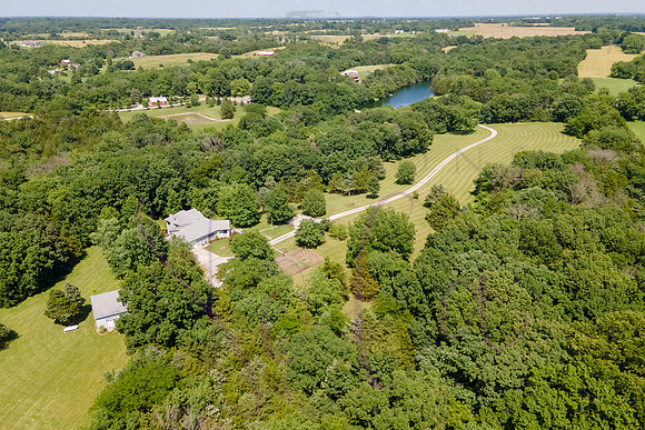 Betsy Shady Hills 2025 0125