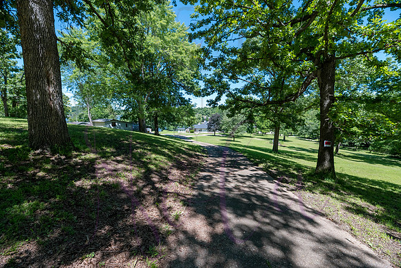 Sally 30293 Autumn Gravois Mills 0006