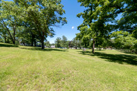 Sally 30293 Autumn Gravois Mills 0011