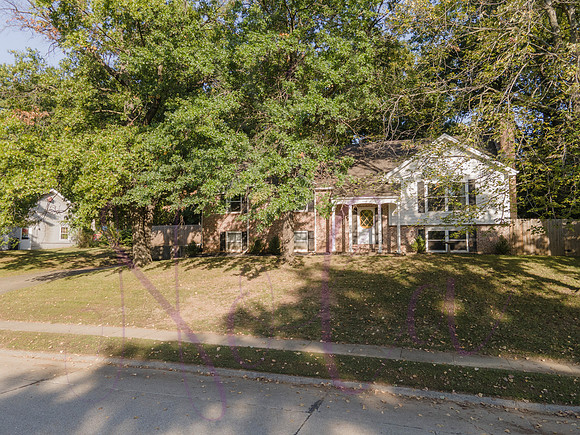 Betsy Arbor 0128