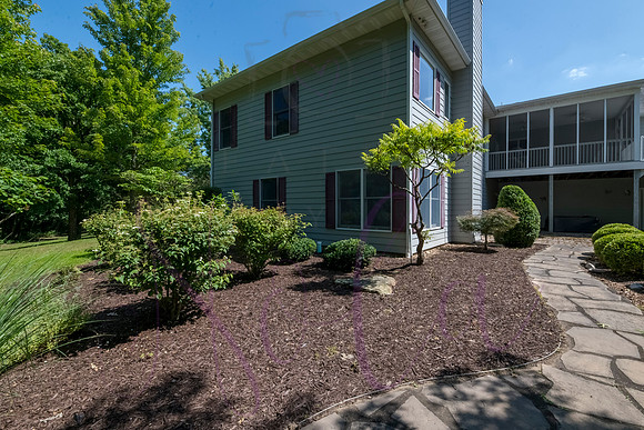 Betsy Shady Hills 2025 0041