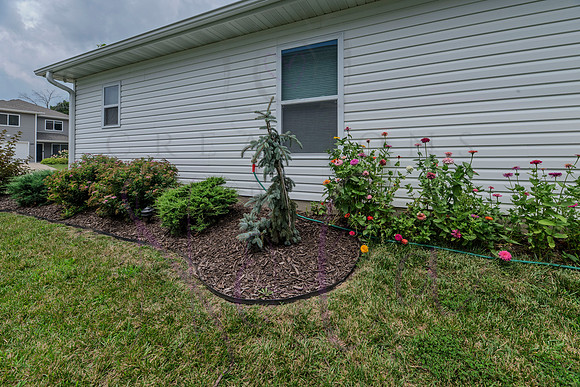 Lori Glen Meadows 0057