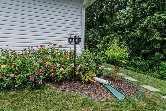 Lori Glen Meadows 0056