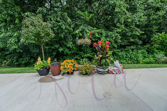 Lori Glen Meadows 0049