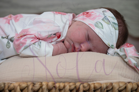 Chelsea Boone Kohen Ainsley 0465