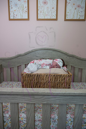 Chelsea Boone Kohen Ainsley 0461