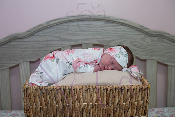 Chelsea Boone Kohen Ainsley 0463