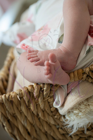 Chelsea Boone Kohen Ainsley 0511