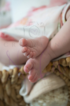 Chelsea Boone Kohen Ainsley 0509