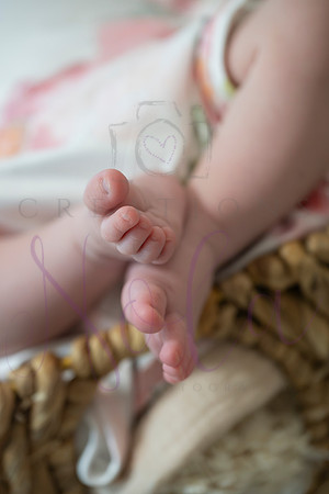 Chelsea Boone Kohen Ainsley 0508