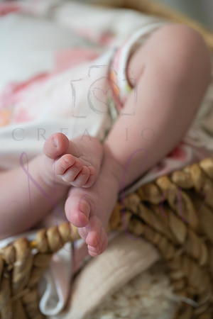 Chelsea Boone Kohen Ainsley 0507
