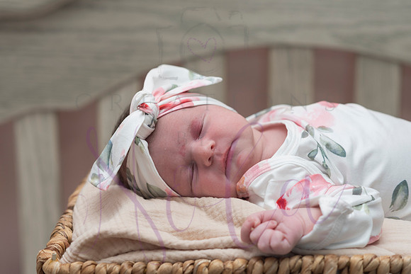 Chelsea Boone Kohen Ainsley 0503