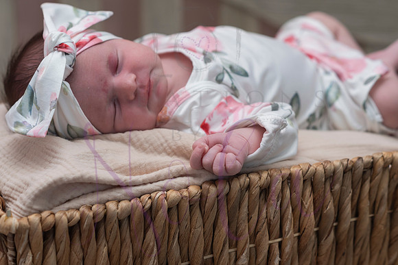 Chelsea Boone Kohen Ainsley 0502