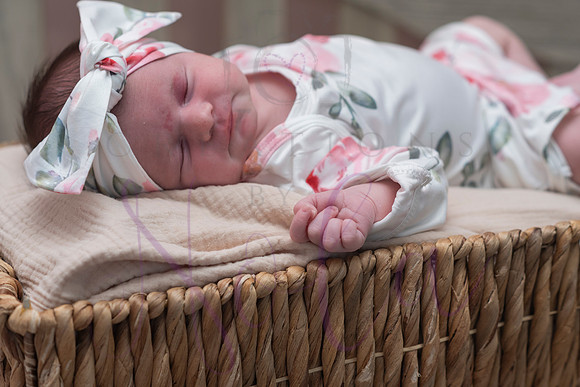 Chelsea Boone Kohen Ainsley 0501
