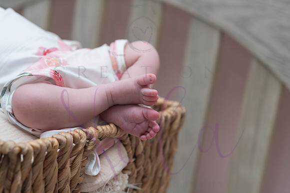 Chelsea Boone Kohen Ainsley 0499