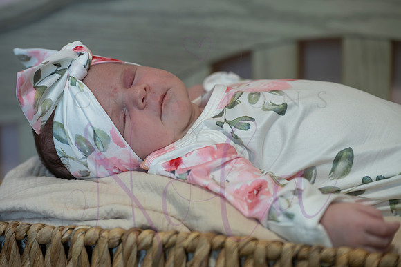 Chelsea Boone Kohen Ainsley 0490