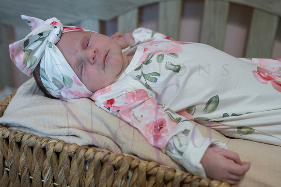 Chelsea Boone Kohen Ainsley 0483