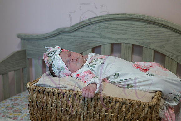 Chelsea Boone Kohen Ainsley 0481