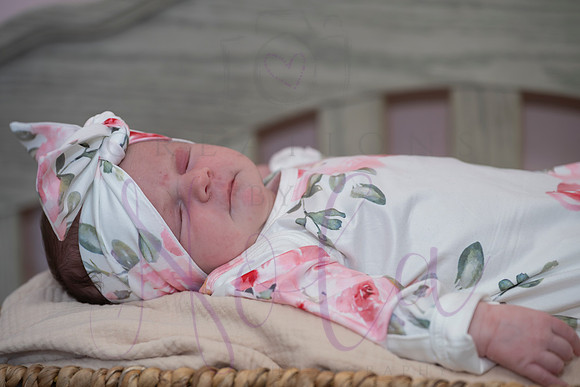 Chelsea Boone Kohen Ainsley 0473