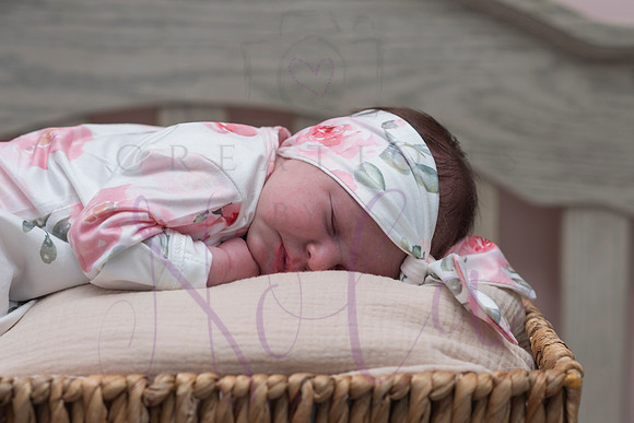 Chelsea Boone Kohen Ainsley 0457
