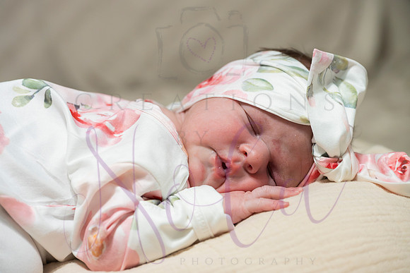 Chelsea Boone Kohen Ainsley 0441