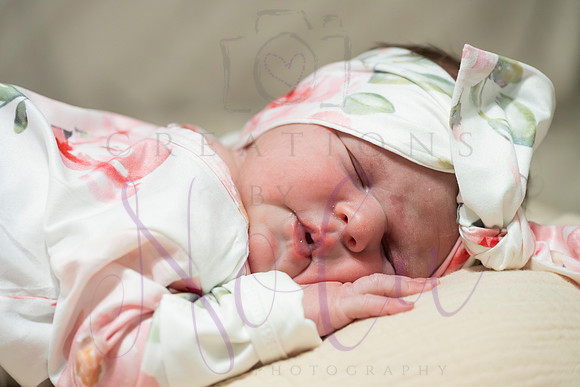 Chelsea Boone Kohen Ainsley 0440
