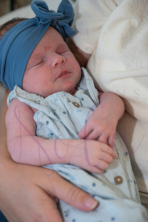 Chelsea Boone Kohen Ainsley 0391