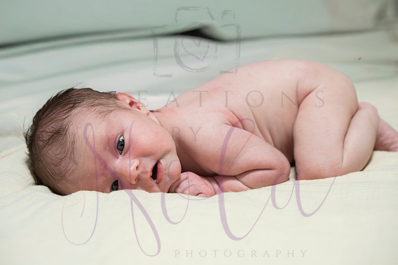 Chelsea Boone Kohen Ainsley 0424-2