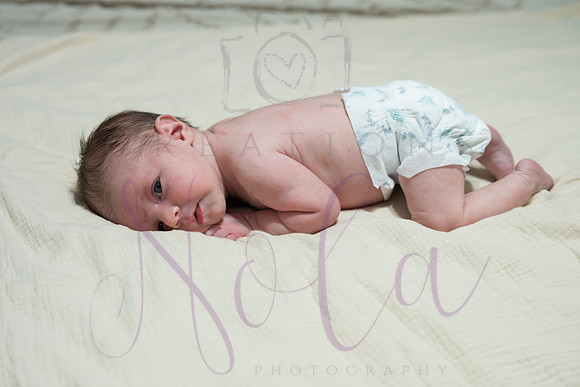 Chelsea Boone Kohen Ainsley 0428-2