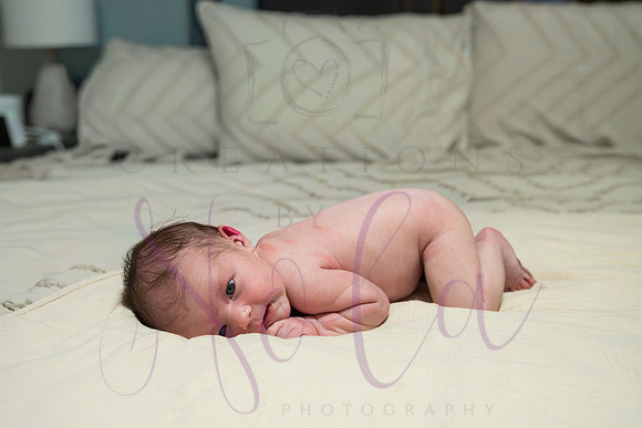 Chelsea Boone Kohen Ainsley 0417-2