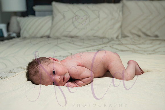 Chelsea Boone Kohen Ainsley 0418-2