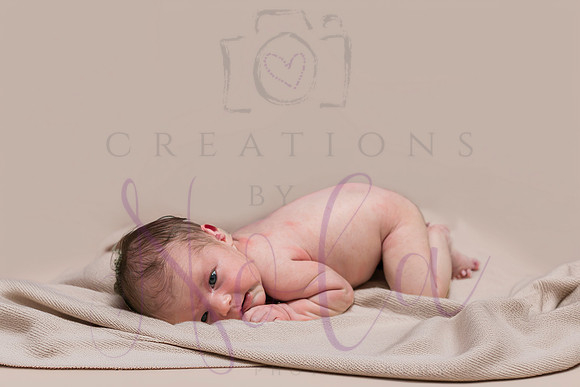 Chelsea Boone Kohen Ainsley 0416-3