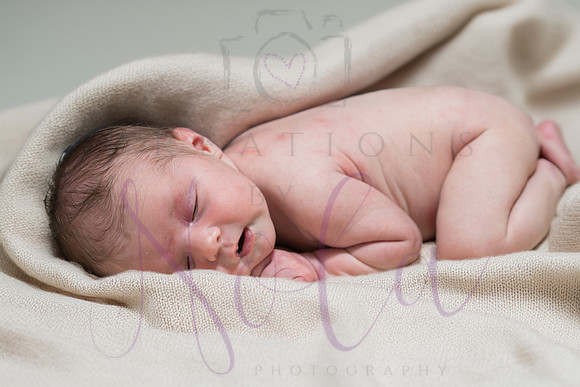 Chelsea Boone Kohen Ainsley 0422-5