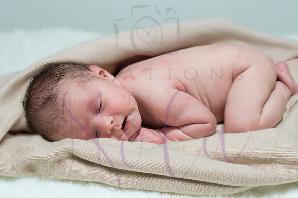Chelsea Boone Kohen Ainsley 0422-4