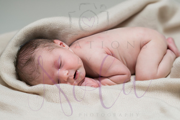 Chelsea Boone Kohen Ainsley 0422-5
