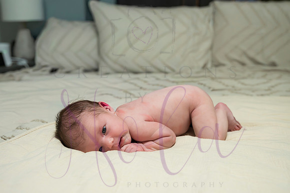 Chelsea Boone Kohen Ainsley 0417-2
