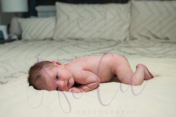 Chelsea Boone Kohen Ainsley 0418-2