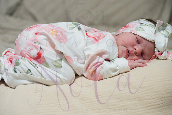 Chelsea Boone Kohen Ainsley 0437