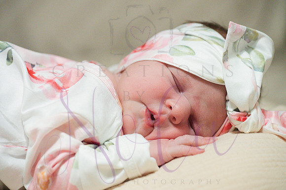 Chelsea Boone Kohen Ainsley 0440