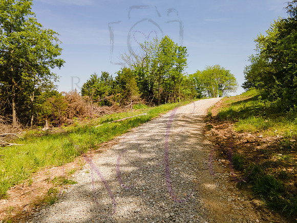 Sharone Fischer Clarksburg 0098
