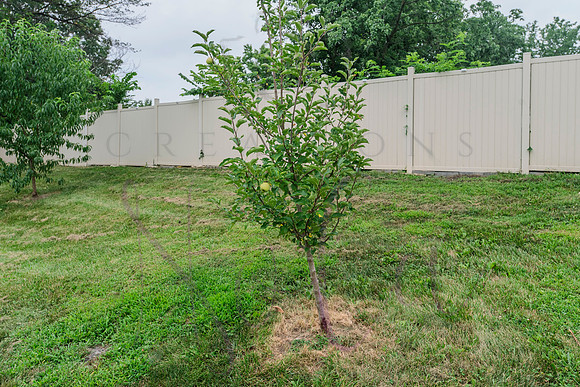 Don Emery Speck Court 0081