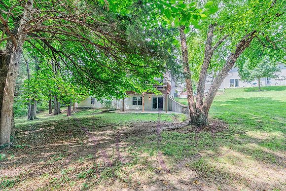 Betsy 3600 Berkshire 0173