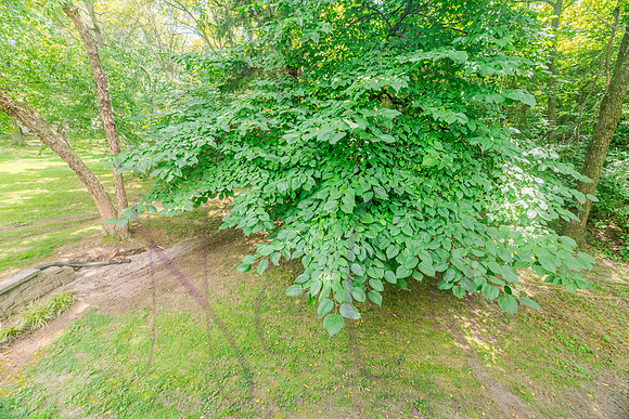 Betsy 3600 Berkshire 0149