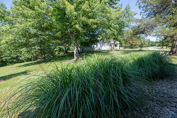 Betsy Shady Hills 2025 0078