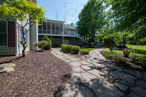 Betsy Shady Hills 2025 0039