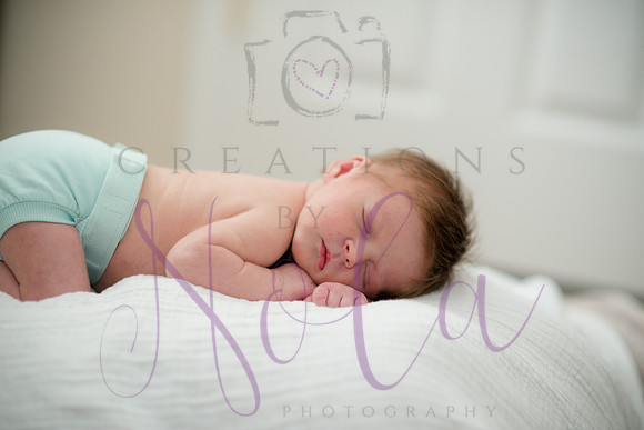 Natalie Miller 355