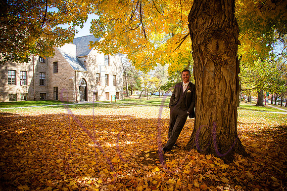 wedding pictures