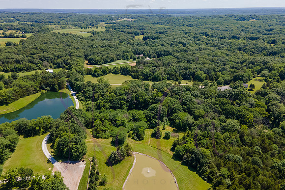 Betsy Shady Hills 2025 0119