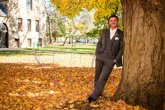 wedding pictures