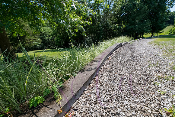 Betsy Shady Hills 2025 0068